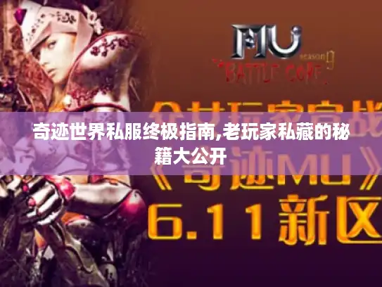 奇迹世界私服终极指南,老玩家私藏的秘籍大公开