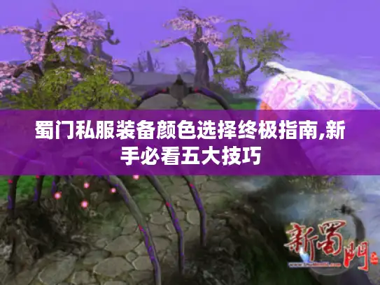 蜀门私服装备颜色选择终极指南,新手必看五大技巧
