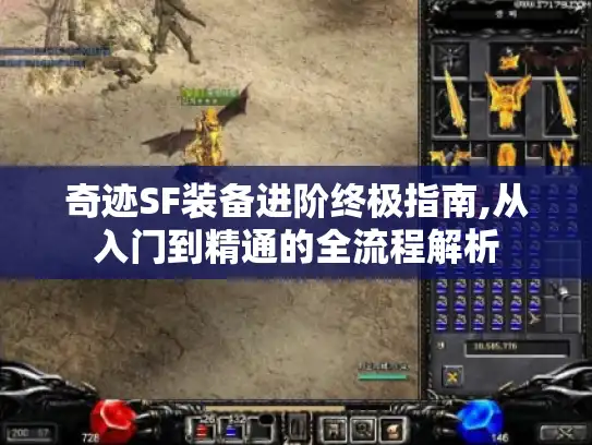 奇迹SF装备进阶终极指南,从入门到精通的全流程解析