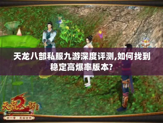 天龙八部私服九游深度评测,如何找到稳定高爆率版本?