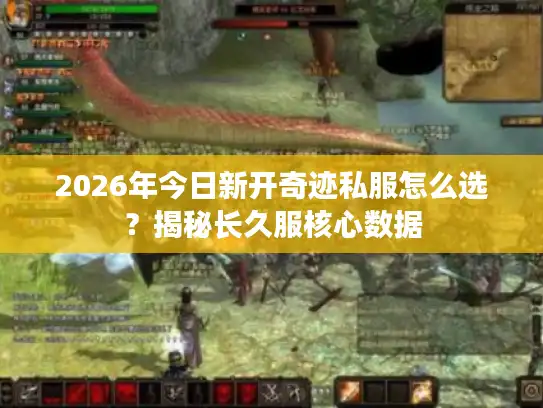 2026年今日新开奇迹私服怎么选？揭秘长久服核心数据
