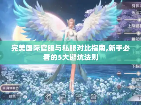 完美国际官服与私服对比指南,新手必看的5大避坑法则 完美国际官服与私服对比指南,新手必看的5大避坑法则