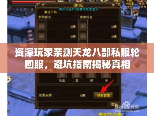 资深玩家亲测天龙八部私服轮回服，避坑指南揭秘真相