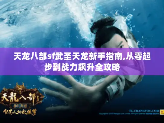 天龙八部sf武圣天龙新手指南,从零起步到战力飙升全攻略 天龙八部sf武圣天龙新手指南,从零起步到战力飙升全攻略