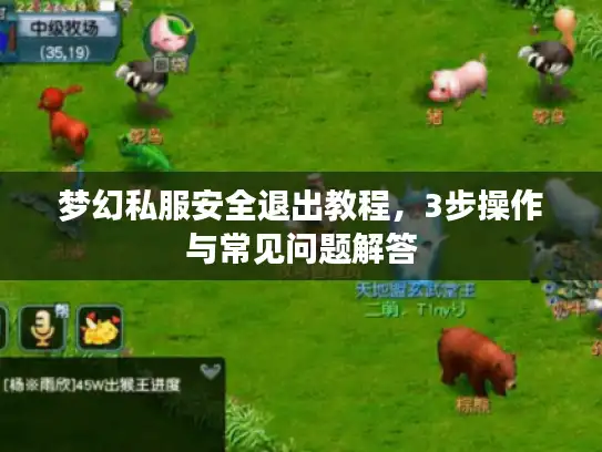 梦幻私服安全退出教程，3步操作与常见问题解答