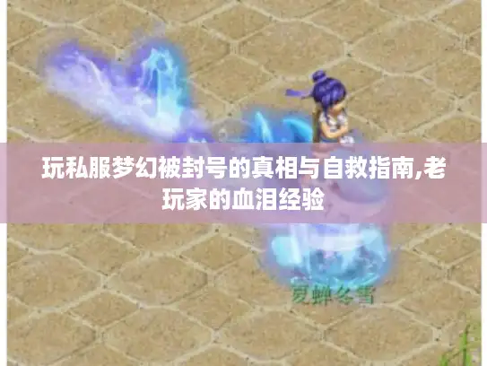 玩私服梦幻被封号的真相与自救指南,老玩家的血泪经验