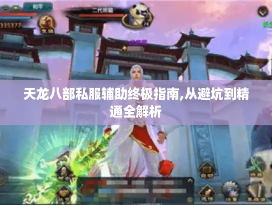 天龙八部私服辅助终极指南,从避坑到精通全解析 天龙八部私服辅助终极指南,从避坑到精通全解析