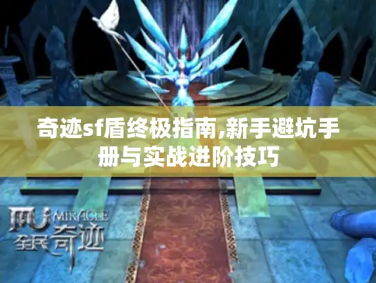 奇迹sf盾终极指南,新手避坑手册与实战进阶技巧 奇迹sf盾终极指南,新手避坑手册与实战进阶技巧