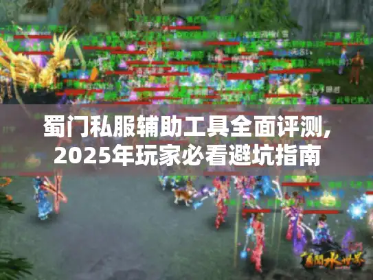 蜀门私服辅助工具全面评测,2025年玩家必看避坑指南