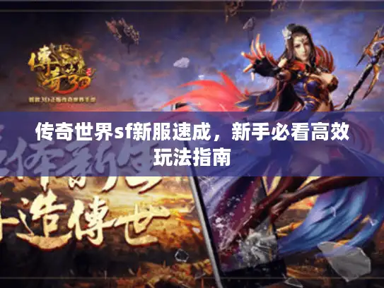 传奇世界sf新服速成，新手必看高效玩法指南