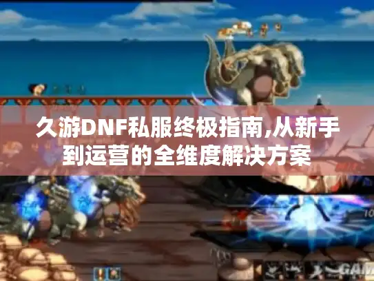 久游DNF私服终极指南,从新手到运营的全维度解决方案