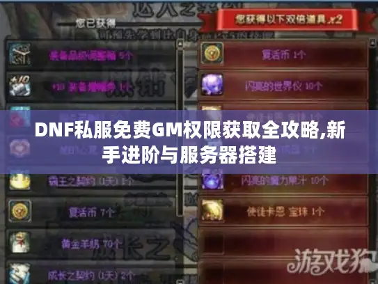 DNF私服免费GM权限获取全攻略,新手进阶与服务器搭建