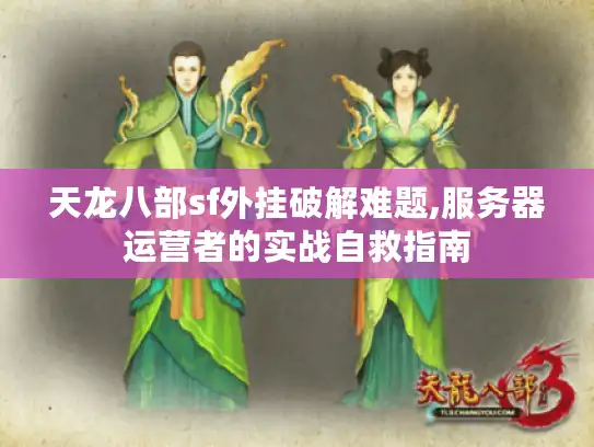 天龙八部sf外挂破解难题,服务器运营者的实战自救指南