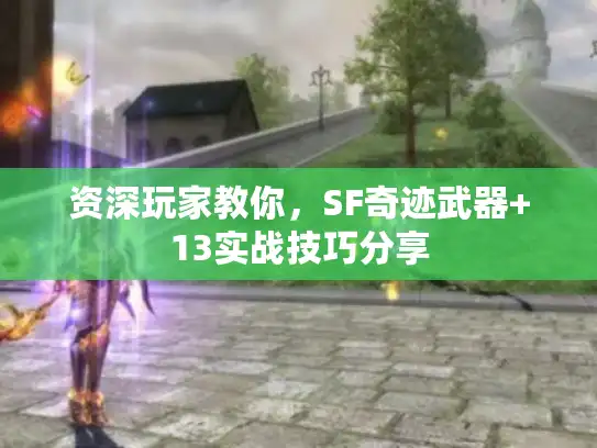 资深玩家教你,SF奇迹武器+13实战技巧分享 资深玩家教你,SF奇迹武器+13实战技巧分享