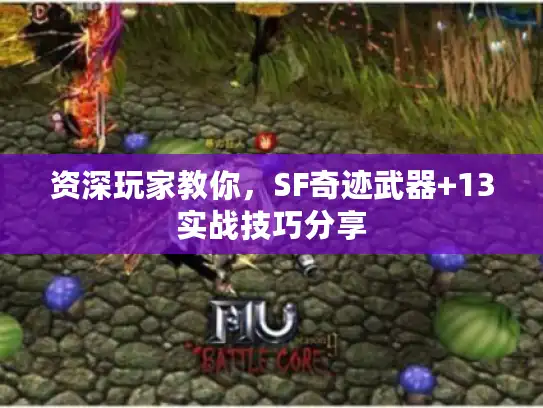 资深玩家教你,SF奇迹武器+13实战技巧分享 资深玩家教你,SF奇迹武器+13实战技巧分享