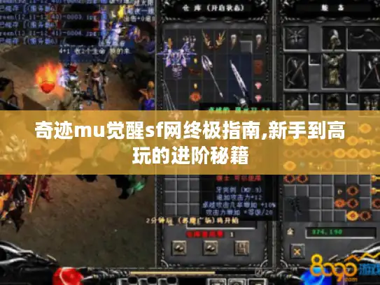 奇迹mu觉醒sf网终极指南,新手到高玩的进阶秘籍