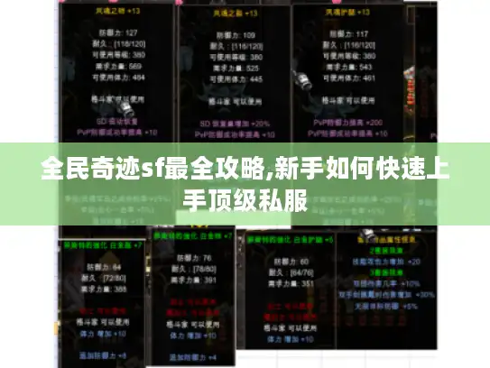 全民奇迹sf最全攻略,新手如何快速上手顶级私服
