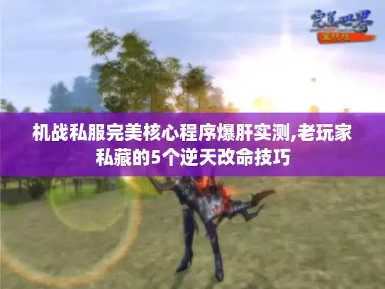 机战私服完美核心程序爆肝实测,老玩家私藏的5个逆天改命技巧