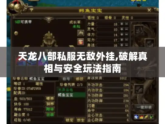 天龙八部私服无敌外挂,破解真相与安全玩法指南