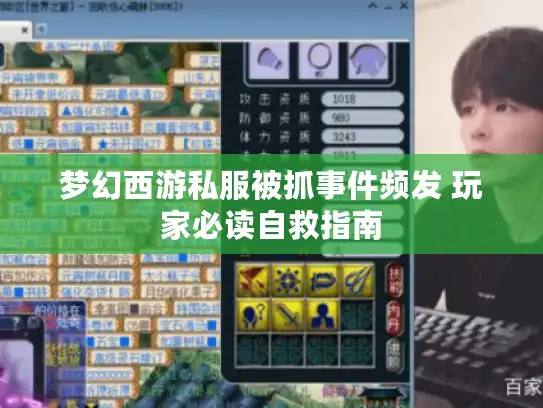 梦幻西游私服被抓事件频发 玩家必读自救指南