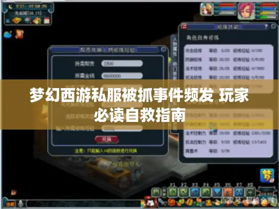 梦幻西游私服被抓事件频发 玩家必读自救指南