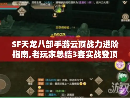 SF天龙八部手游云顶战力进阶指南,老玩家总结3套实战登顶方案