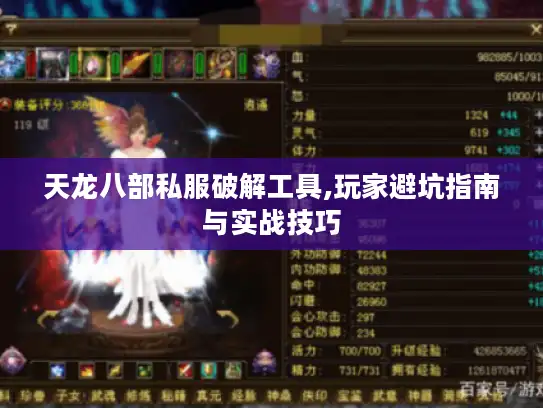 天龙八部私服破解工具,玩家避坑指南与实战技巧 天龙八部私服破解工具,玩家避坑指南与实战技巧