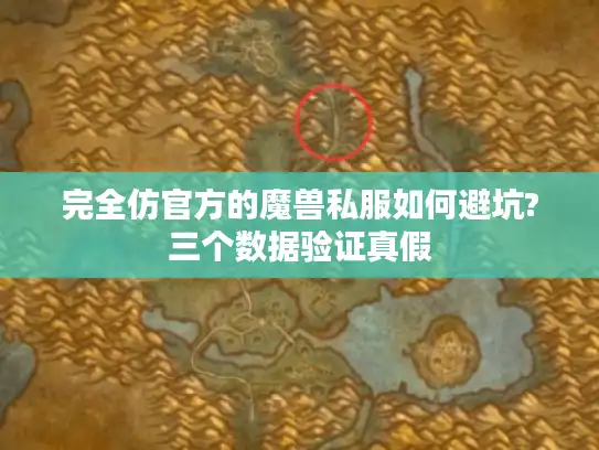 完全仿官方的魔兽私服如何避坑?三个数据验证真假
