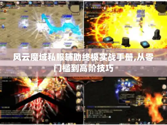 风云魔域私服辅助终极实战手册,从零门槛到高阶技巧 风云魔域私服辅助终极实战手册,从零门槛到高阶技巧