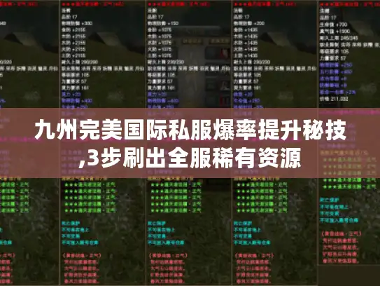 九州完美国际私服爆率提升秘技,3步刷出全服稀有资源