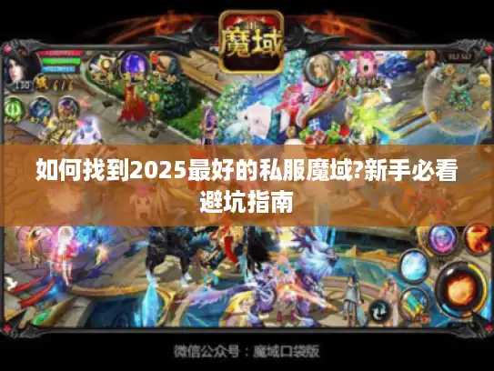 如何找到2025最好的私服魔域?新手必看避坑指南