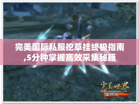 完美国际私服挖草挂终极指南,5分钟掌握高效采集秘籍
