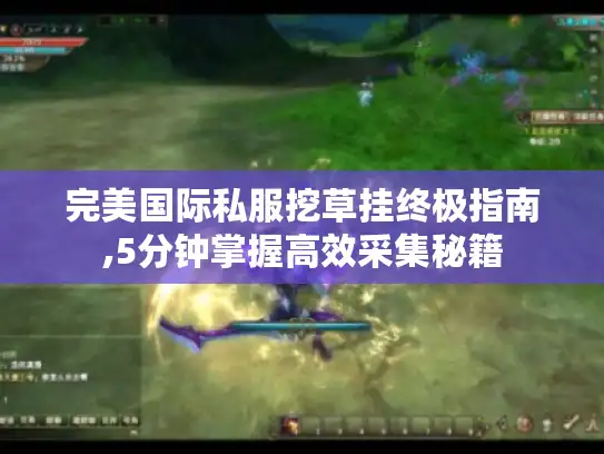 完美国际私服挖草挂终极指南,5分钟掌握高效采集秘籍