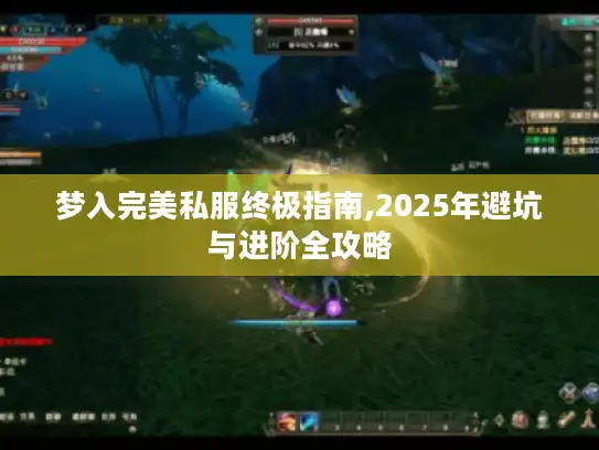 梦入完美私服终极指南,2025年避坑与进阶全攻略