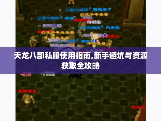 天龙八部私服使用指南,新手避坑与资源获取全攻略