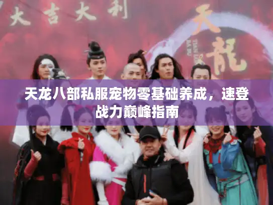 天龙八部私服宠物零基础养成，速登战力巅峰指南