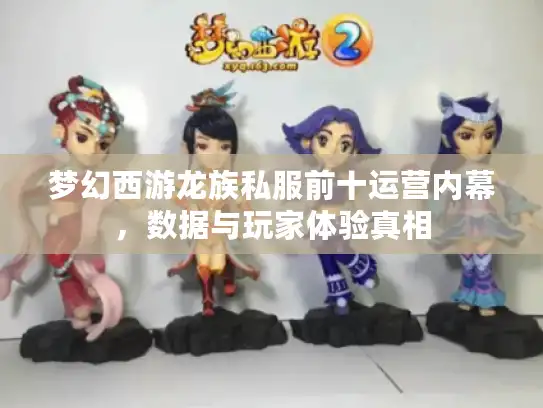 梦幻西游龙族私服前十运营内幕，数据与玩家体验真相
