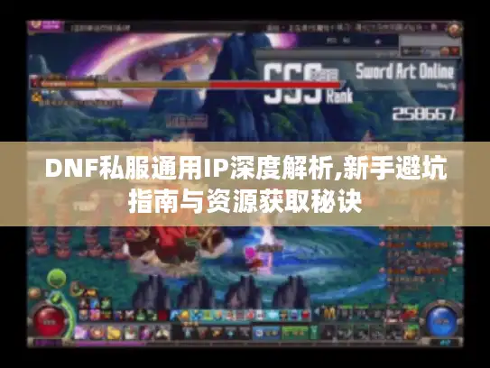 DNF私服通用IP深度解析,新手避坑指南与资源获取秘诀
