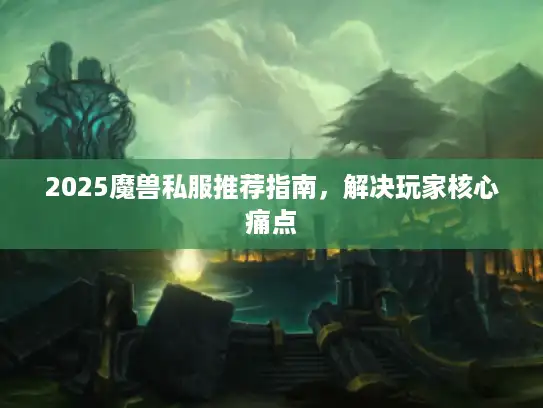 2025魔兽私服推荐指南，解决玩家核心痛点