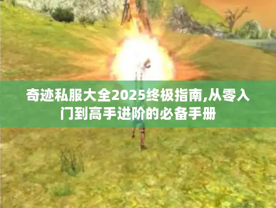 奇迹私服大全2025终极指南,从零入门到高手进阶的必备手册 奇迹私服大全2025终极指南,从零入门到高手进阶的必备手册
