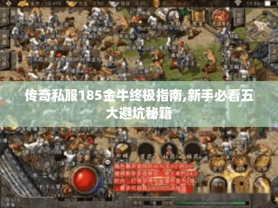 传奇私服185金牛终极指南,新手必看五大避坑秘籍