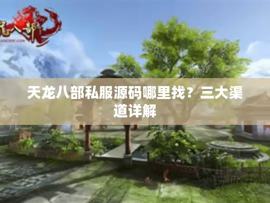天龙八部私服源码哪里找？三大渠道详解