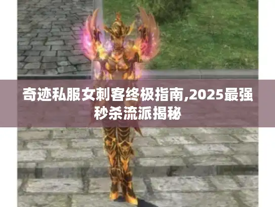 奇迹私服女刺客终极指南,2025最强秒杀流派揭秘