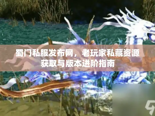 蜀门私服发布网，老玩家私藏资源获取与版本进阶指南