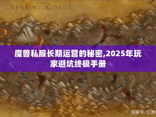 魔兽私服长期运营的秘密,2025年玩家避坑终极手册
