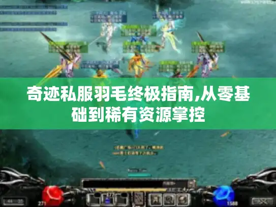 奇迹私服羽毛终极指南,从零基础到稀有资源掌控
