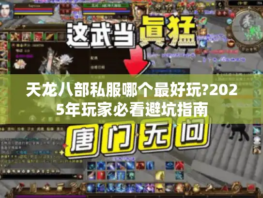 天龙八部私服哪个最好玩?2025年玩家必看避坑指南 天龙八部私服哪个最好玩?2025年玩家必看避坑指南