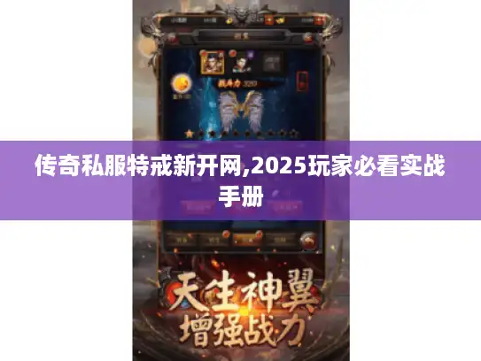 传奇私服特戒新开网,2025玩家必看实战手册