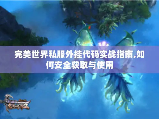 完美世界私服外挂代码实战指南,如何安全获取与使用