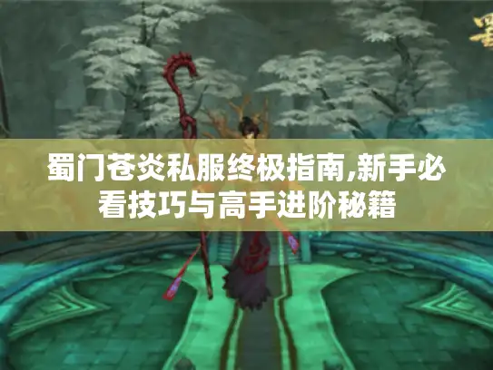 蜀门苍炎私服终极指南,新手必看技巧与高手进阶秘籍